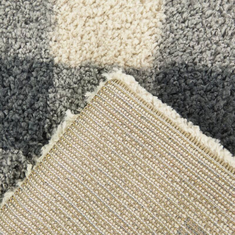 March Gingham Shag Area Rug