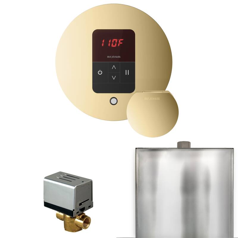 Mr Steam BBR Basic Butler Package Steam Shower Control Package with - Polished Brass
