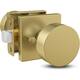 Option Satin Brass