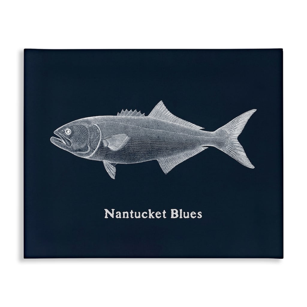 Stupell Nantucket Blues Fish Canvas Wall Art Design By Phillipa Katz