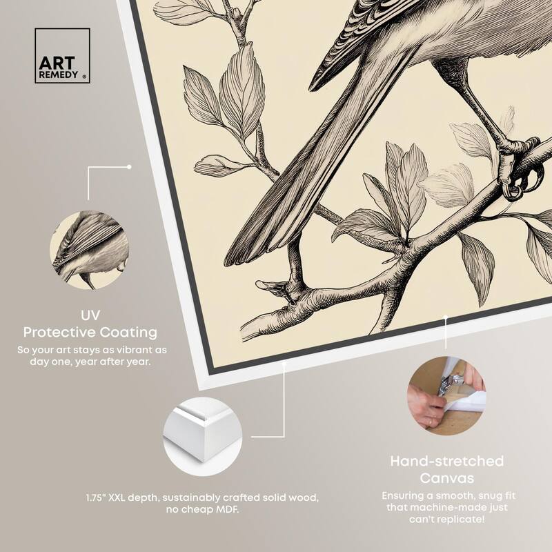 Bird's Gaze Canvas by Art Remedy