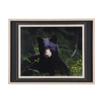 Bear Framed Art Print