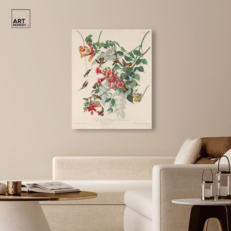 Trochilus Colubris Canvas by Art Remedy, Gallery Wrapped