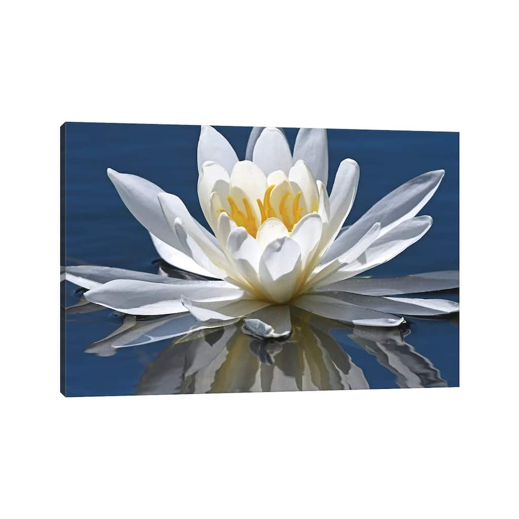 iCanvas "Reflection Of Water Lily" by Brian Wolf Canvas Print