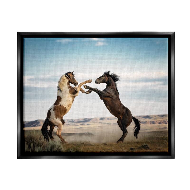 Stupell Fighting Horses Photography Framed Floater Canvas Wall Art Design by PBurchettePhoto