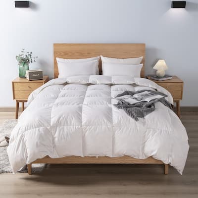 KASENTEX Cotton Cover Down Comforter - Duvet Insert - All Season