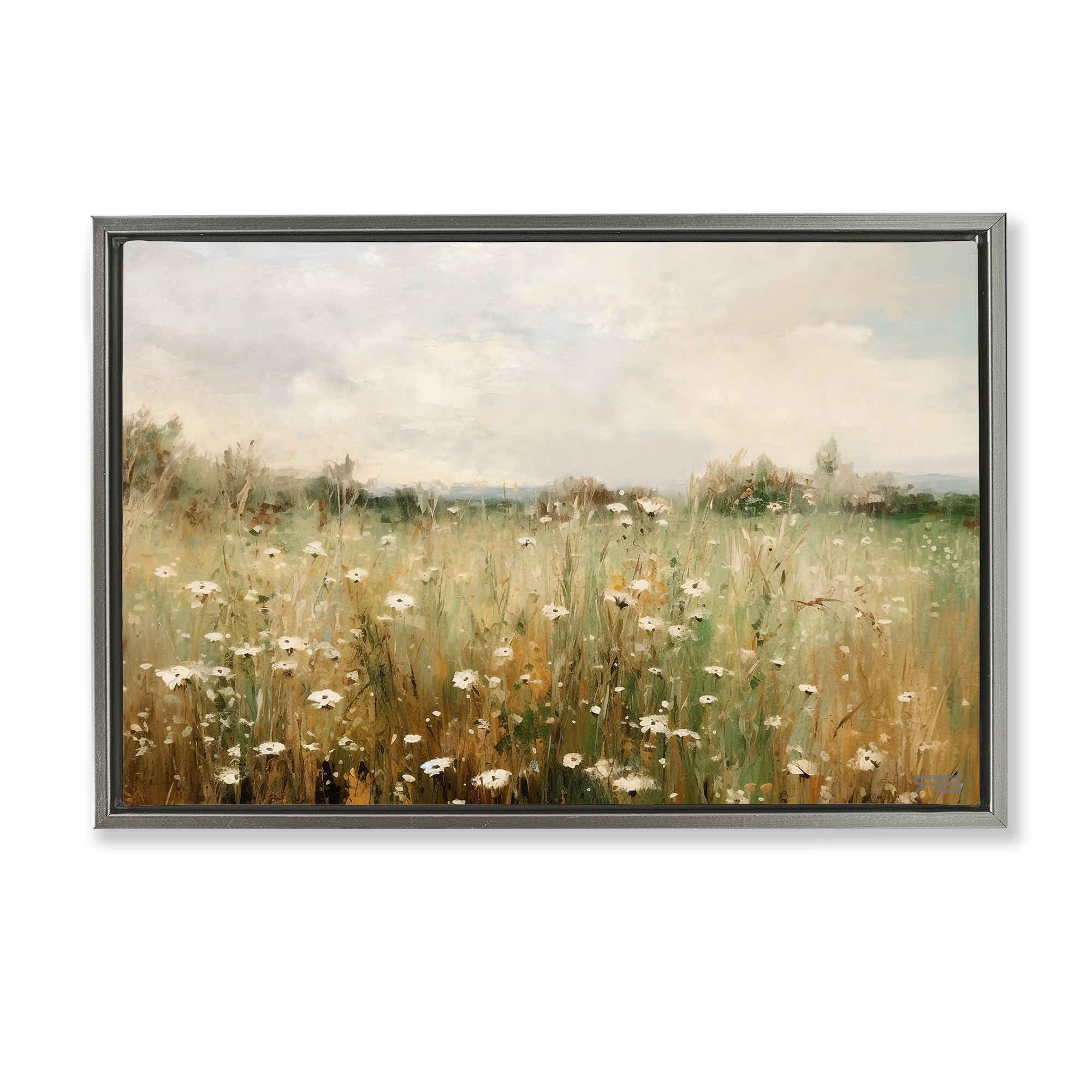 Stupell Country Daisy Field Framed Floater Canvas Wall Art Design By Roozbeh Bahramali
