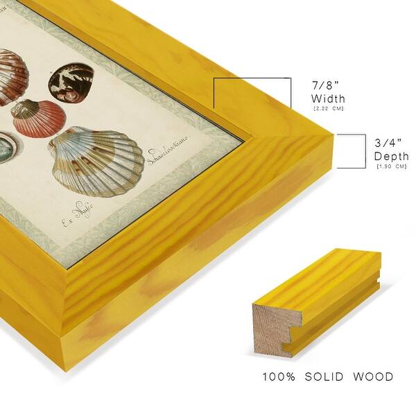 dimension image slide 4 of 10, Bookplate Shells III -Framed Print w/glass-Cherry Red