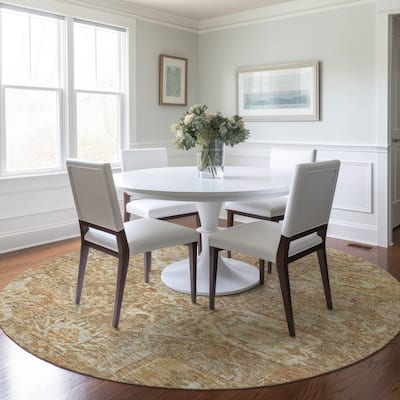 Machine Washable Indoor/ Outdoor Traditional Persian Chantille Rug