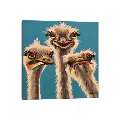 iCanvas "'Always, Ostrich Edition'" by Hippie Hound Studios Canvas Print