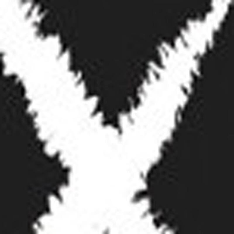 HomeRoots Juvenile/Youth Casual Rectangle Area Rug