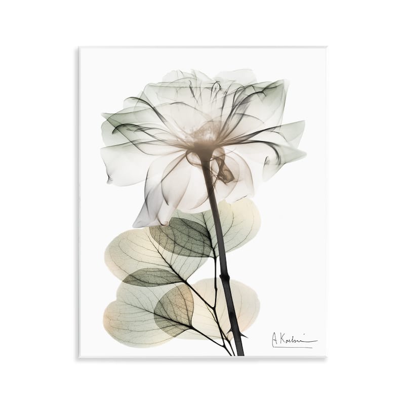 Stupell Modern Minimalist Buds Wall Plaque Art Design By Albert Koetsier - 11 x 14