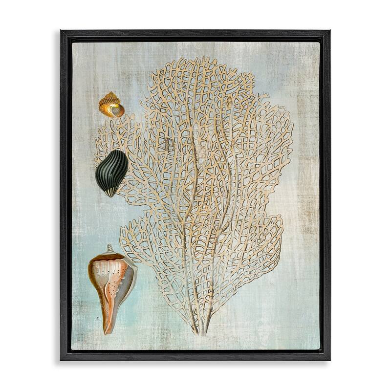Stupell Detailed Coral & Seashells Framed Floater Canvas Wall Art Design By Susan Arnot - 25 x 31 - Black
