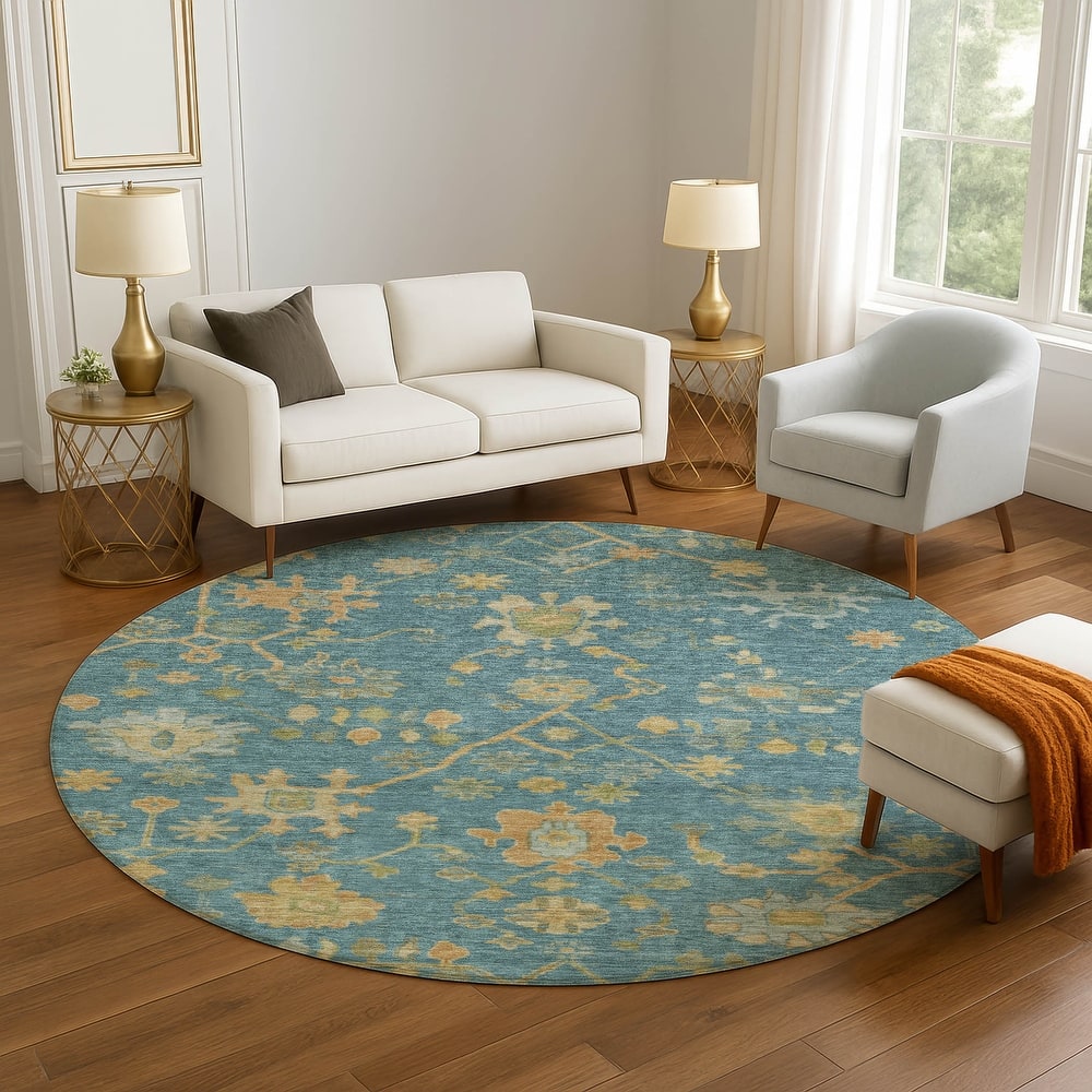 Premium Washable Super Soft Farmhouse Traditional Mayfield Rug