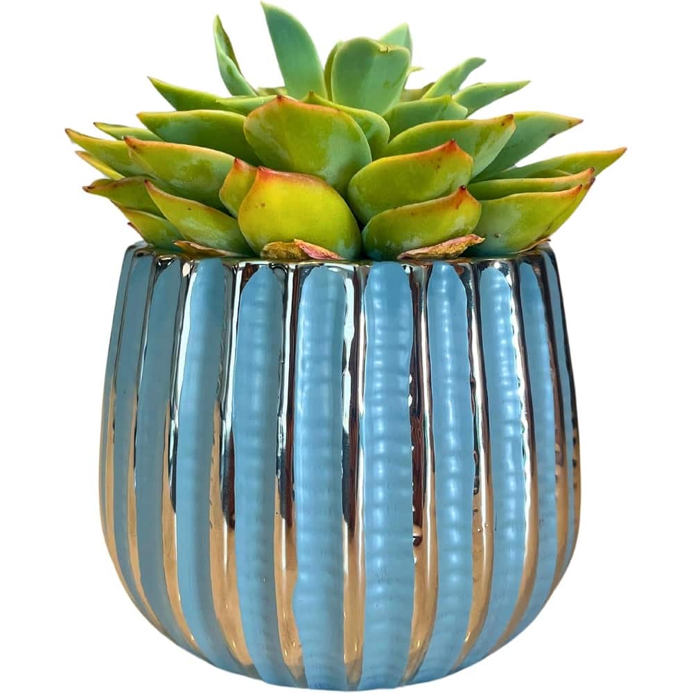 4.5 inch Ceramic Flower Pot
