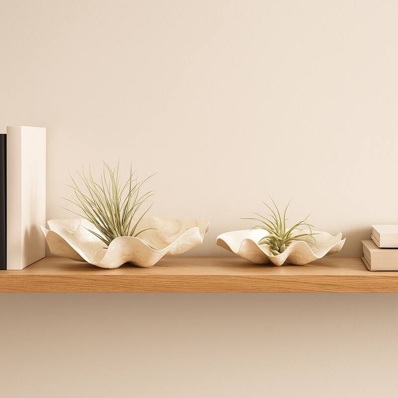 Shell-Inspired Decorative Bowl with Wavy Edge - Set of 2 - 20" Ivory - 20.0"