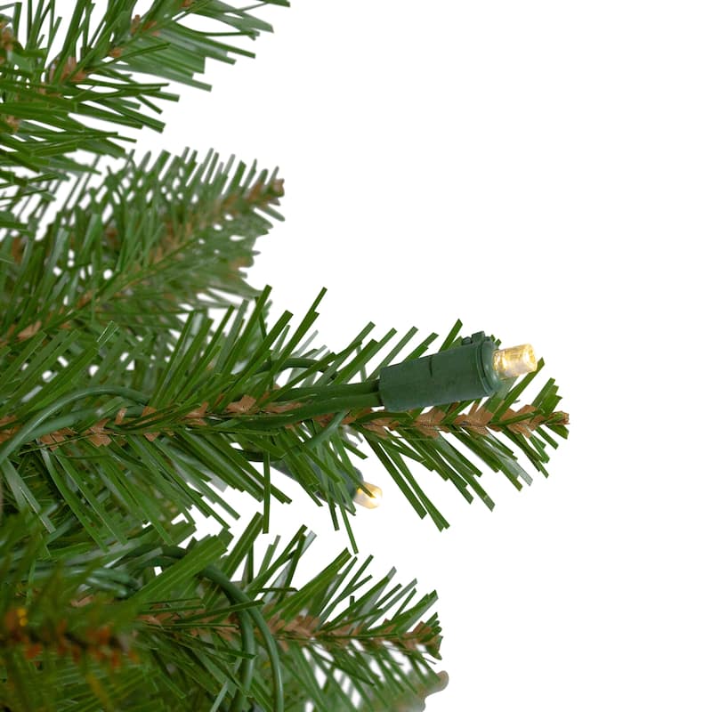 12' Northern Pine Full Artificial Christmas Tree Warm Clear LED Lights - over-10-feet