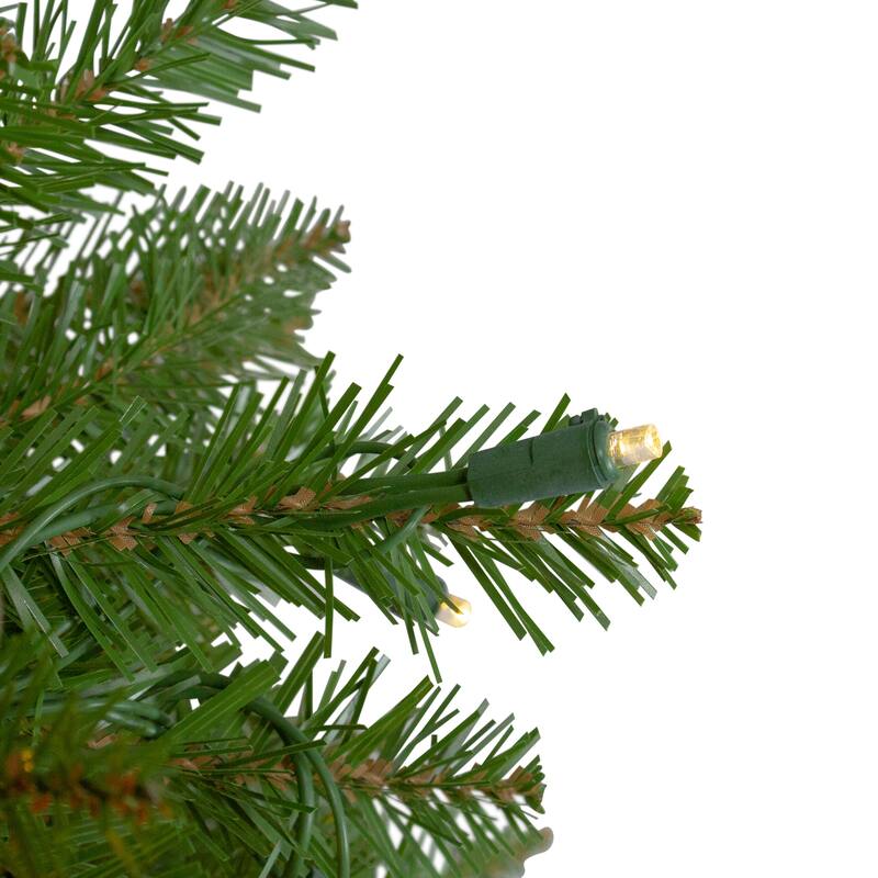 4' Pre-Lit Full Northern Pine Artificial Christmas Tree - Warm Clear LED Lights