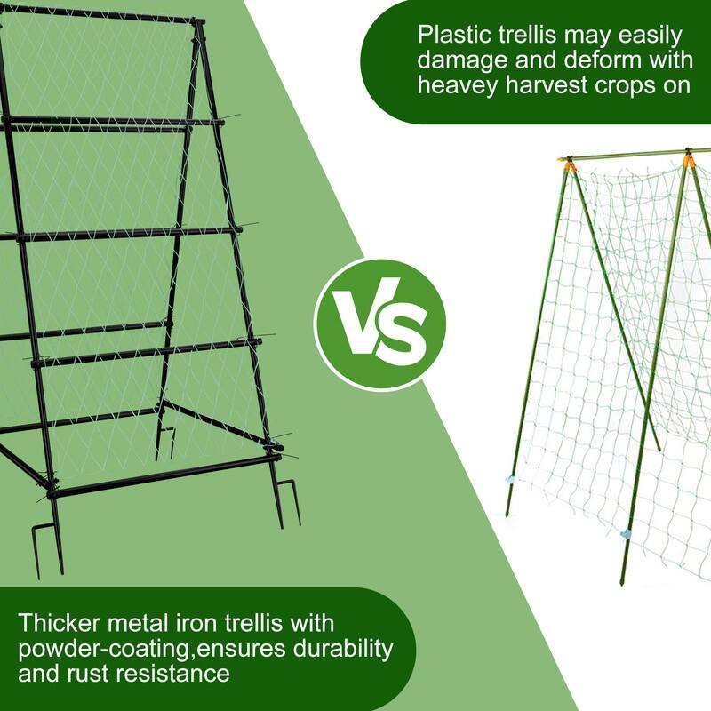 Vegetable Fruit Flower Trellis for Raised Bed Frame Garden Arch Metal Plant Support for Climbing Plants Cucumber Outdoor
