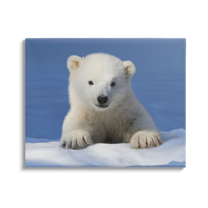 Stupell Baby Polar Bear Peeking Canvas Wall Art Design by © Shane Lamb - 30 x 24