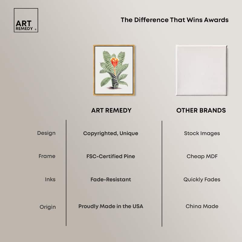 Tillandsia Musaica Plant Canvas by Art Remedy