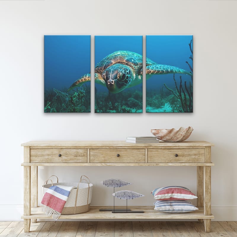 Ready2HangArt 'Turtle' 3-Piece Wrapped Canvas Wall Art Set