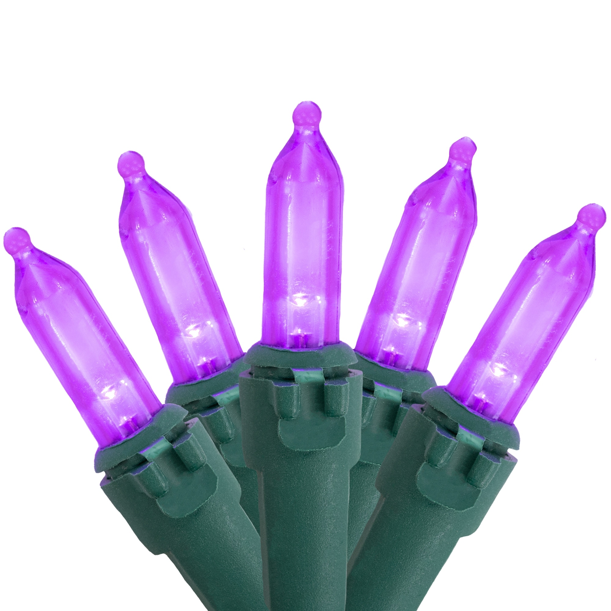 50ct Purple LED Mini Christmas Lights 16.25ft Green Wire - 16.25'