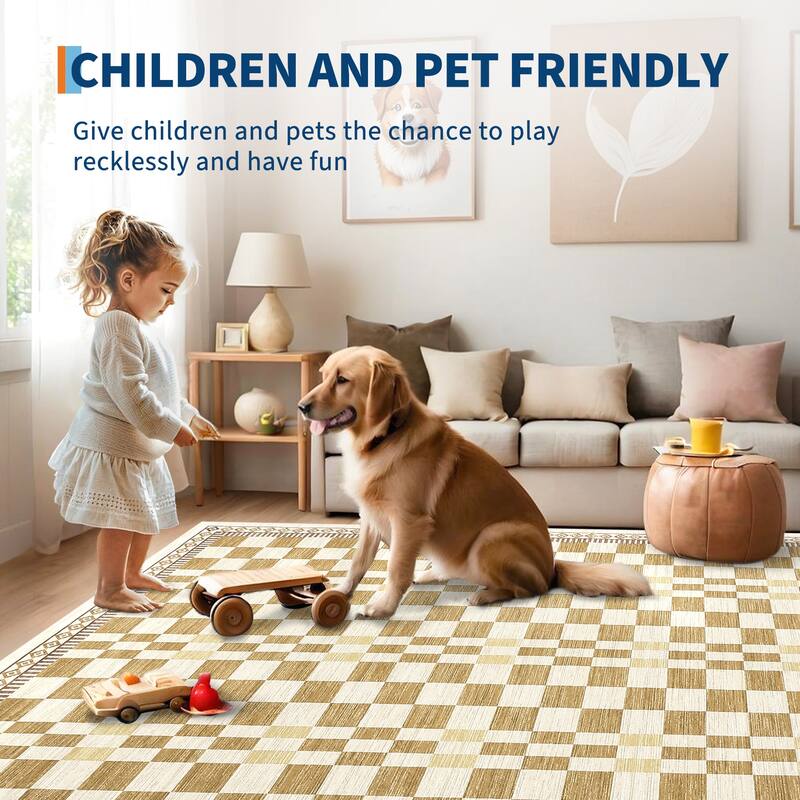 Checkered Area Rugs for Living Room Soft Modern Geometric Rug Non-Slip Low Pile Carpet for Bedroom, Dining Room
