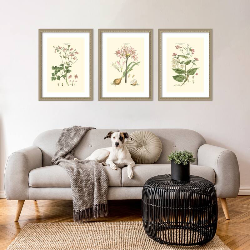 Small Blushing Pink Florals 3 Piece by John Miller Framed Wall Art Prints