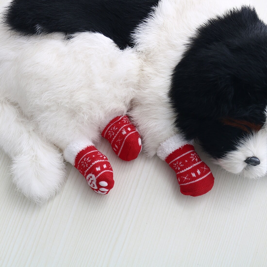 dog paw protection