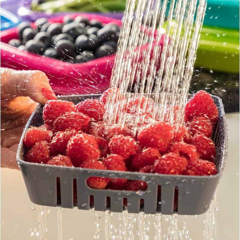 Hutzler 3-in-1 Bitty Box Berry Keeper, Berry Colander & Saver Container, 9oz / 1 Cup Capacity