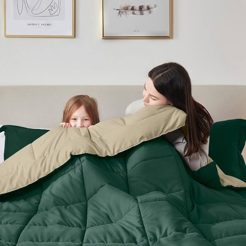 Empyrean All Season Alternative Down Lightweight Reversible Comforter Set