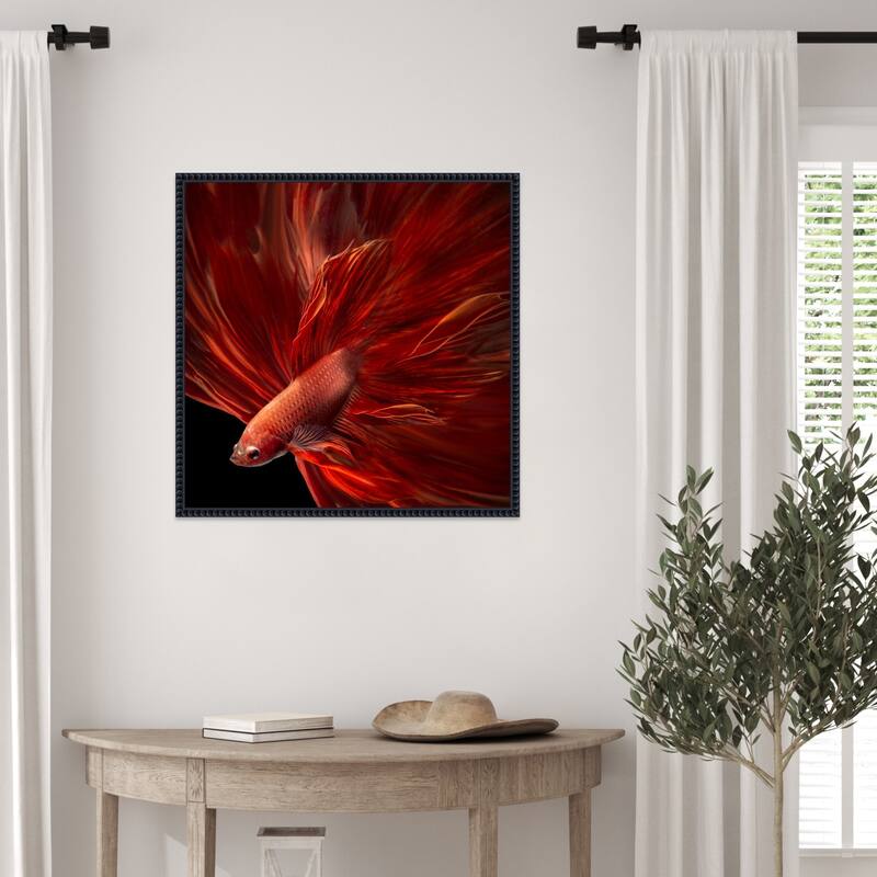 Red Fire Betta fish by Antonyus Bunjamin Framed Canvas Wall Art Print