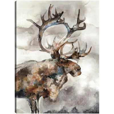 Wild Essence By Frank Parson Canvas Art Print