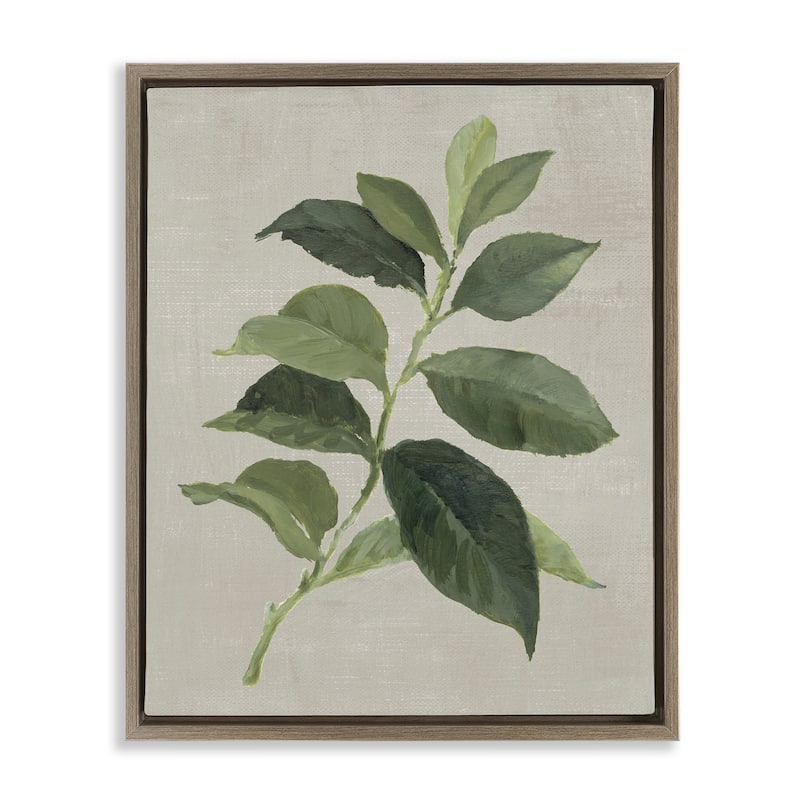 Stupell Arabica Coffee Plant Leaf Framed Floater Canvas Wall Art Design By Lanie Loreth - 17 x 21 - Brown