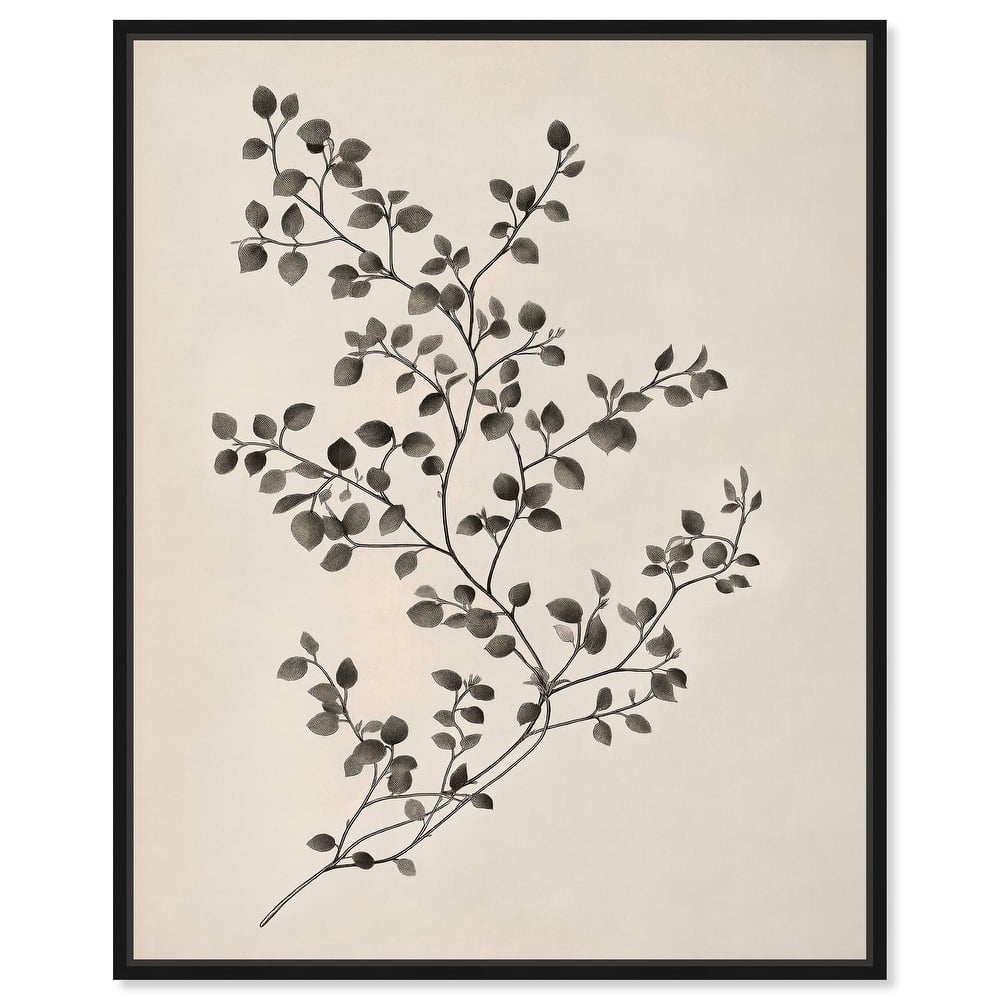 Bilberry Branch II Canvas by Art Remedy