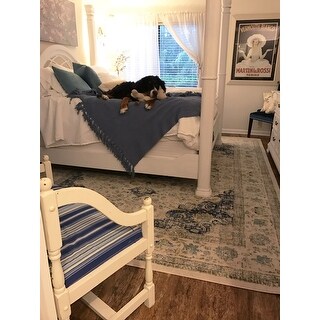 The Gray Barn Peaceful Acres Traditional Persian Vintage Fancy Area Rug