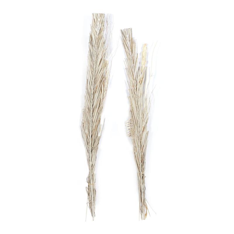 Dried Plant Pigeon pea Home Decor Natural Foliage - Set of 2 Brown - Roche River Decor