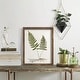 preview thumbnail 53 of 138, Nature Printed Ferns IX -Framed Print w/glass-Cherry Red