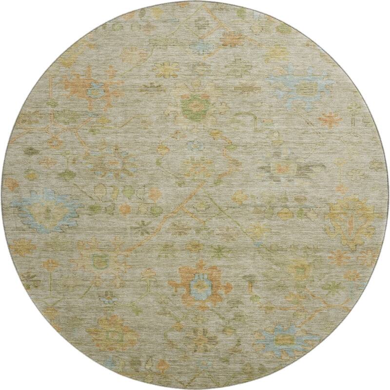 Premium Washable Super Soft Farmhouse Traditional Mayfield Rug