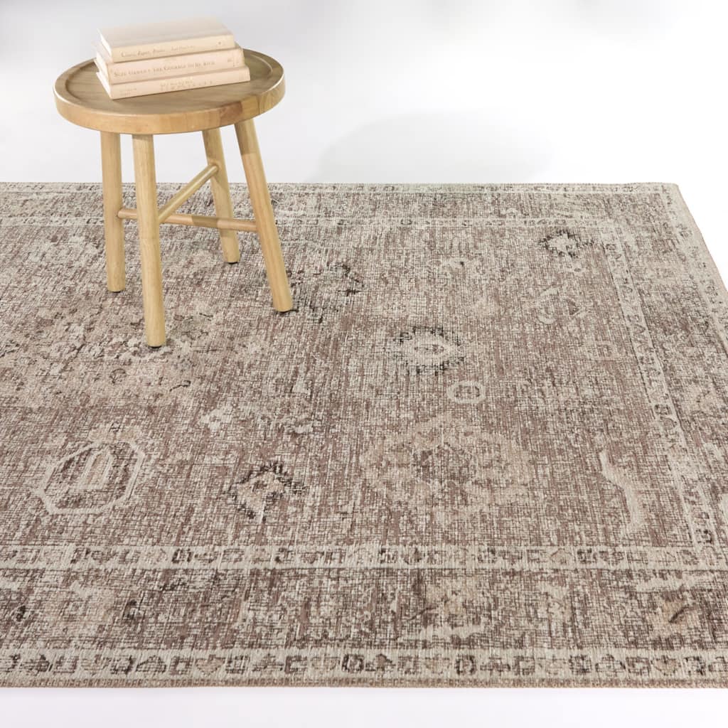 Cornelia Oriental Distressed Area Rug