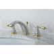 Option Polished Chrome/Polished Brass