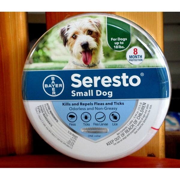 salvo flea & tick collar