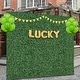 preview thumbnail 4 of 6, 40 in x 120 in Artificial Boxwood Roll Panels for Outdoor Use - 4 Roll