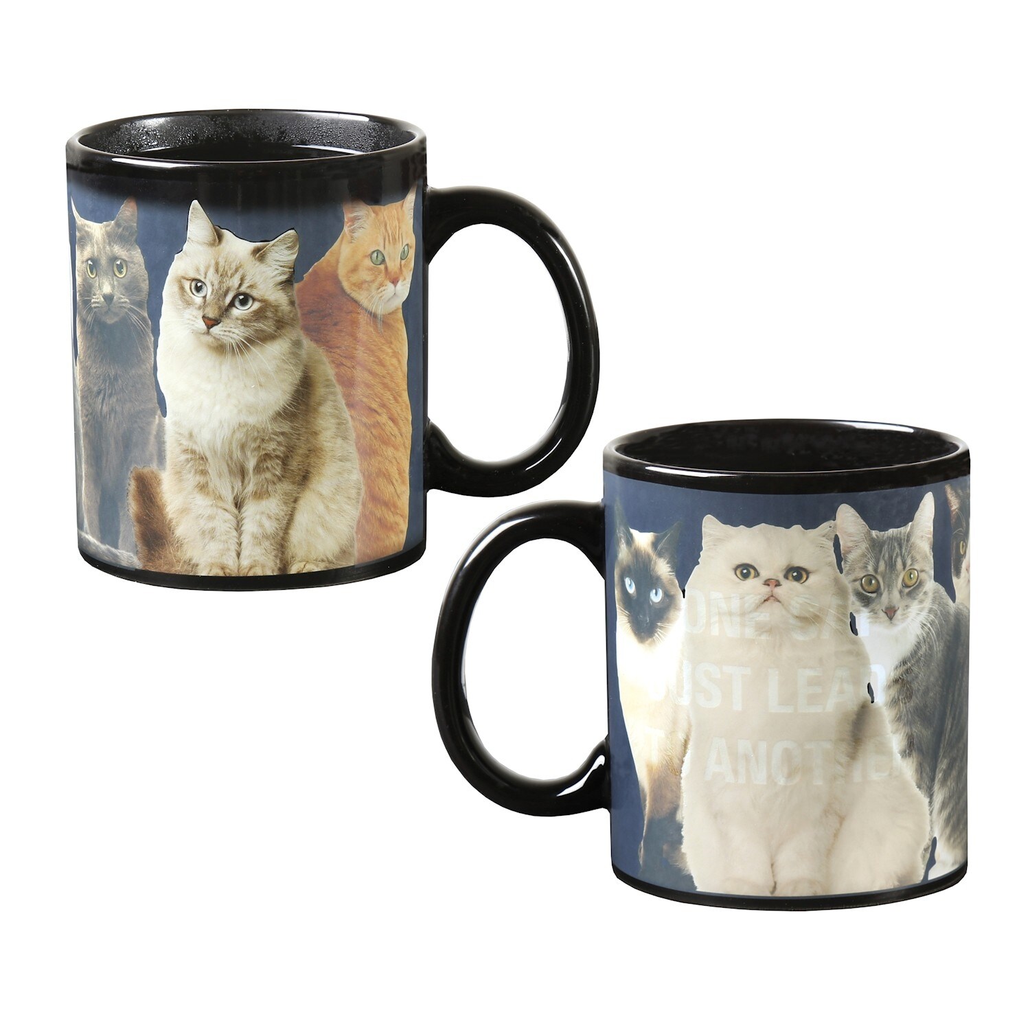 Shop Classics Imports Heat Change Cat Mug One Cat Leads To