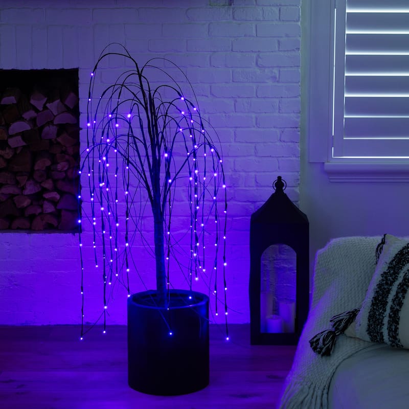 Pre-Lit Black Willow Artificial Halloween Tree - 4' - Dual Color LED Lights - 3-to-6-feet