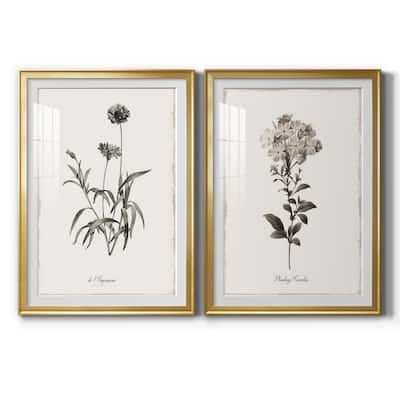 Sketchbook Imperial Premium Framed Print - Ready to Hang