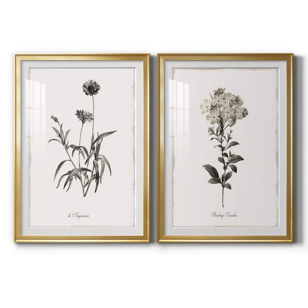 Sketchbook Imperial Premium Framed Print - Ready to Hang