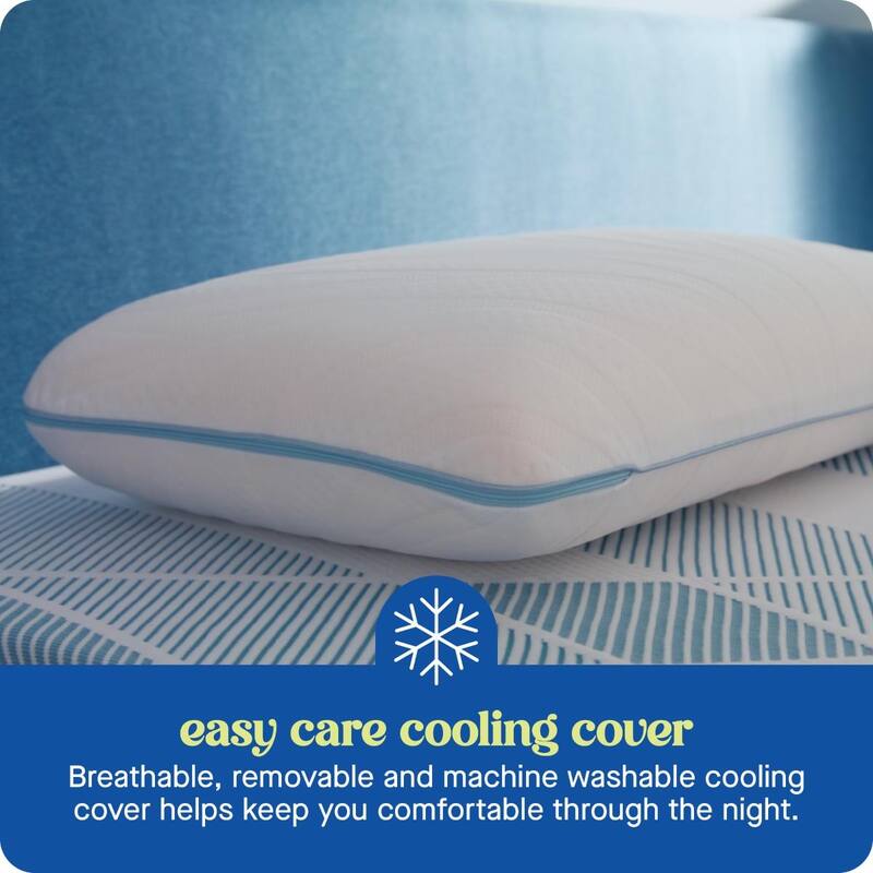 Sealy Dreamlife Performance Foam Pillow, Standard