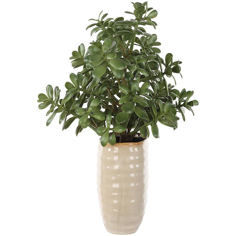 Uttermost 60226 Crassula Jade 23-1/2" Tall Ceramic Faux Flora Planter - Tan